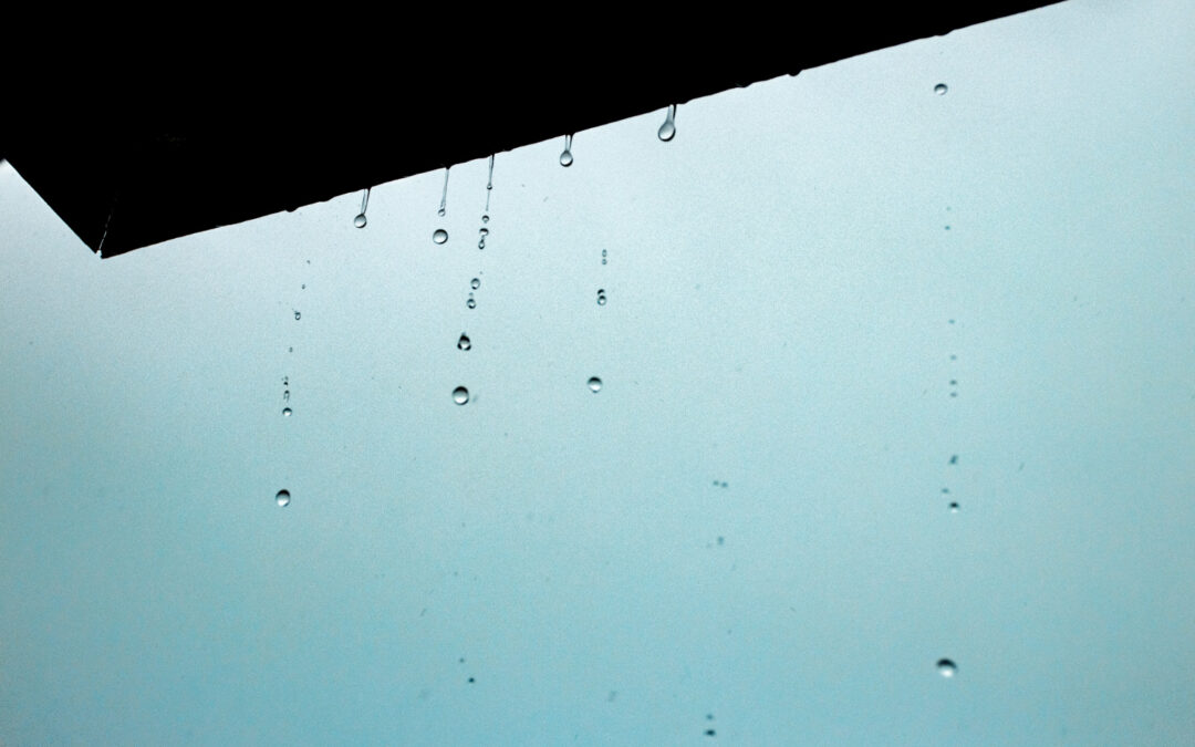 Emergency Roof Repair Tips for Local Homeowners