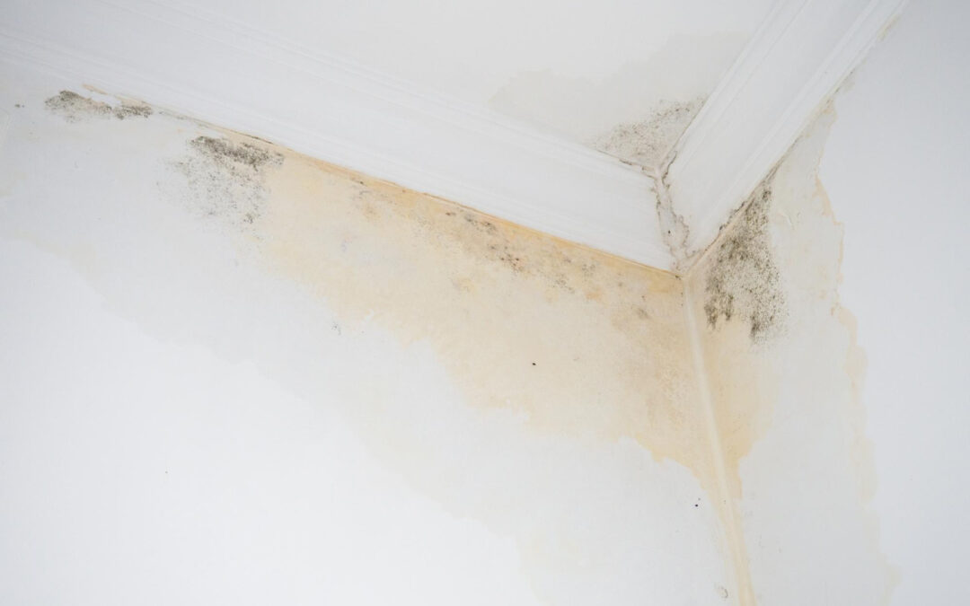 Summer Roof Leak Repair in Ukiah Homes with Older Gutters