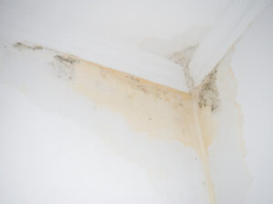 roof leak